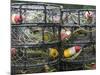 Crabbing Nets in Tee Harbor, Juneau, Southeast Alaska, Alaska, USA-Walter Bibikow-Mounted Photographic Print