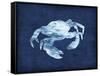 Crabby-Edward Selkirk-Framed Stretched Canvas