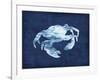 Crabby-Edward Selkirk-Framed Art Print