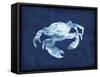 Crabby-Edward Selkirk-Framed Stretched Canvas