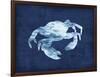 Crabby-Edward Selkirk-Framed Premium Giclee Print