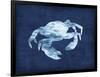 Crabby-Edward Selkirk-Framed Premium Giclee Print