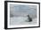 Crabeater Seal on Ice-Joe McDonald-Framed Photographic Print