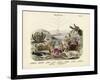 Crabs, C.1860-null-Framed Giclee Print