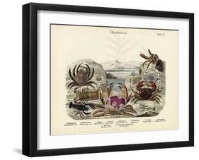 Crabs, C.1860-null-Framed Giclee Print