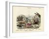 Crabs, C.1860-null-Framed Giclee Print