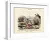 Crabs, C.1860-null-Framed Giclee Print