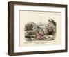 Crabs, C.1860-null-Framed Premium Giclee Print