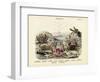 Crabs, C.1860-null-Framed Premium Giclee Print