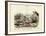 Crabs, C.1860-null-Framed Giclee Print