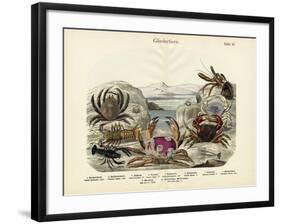 Crabs, C.1860-null-Framed Giclee Print