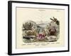 Crabs, C.1860-null-Framed Giclee Print