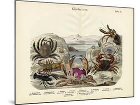 Crabs, C.1860-null-Mounted Giclee Print