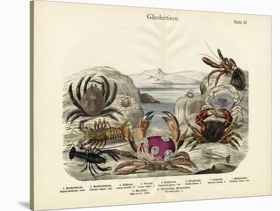 Crabs, C.1860-null-Stretched Canvas