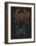 Crabs-Philip Henry Gosse-Framed Giclee Print