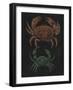 Crabs-Philip Henry Gosse-Framed Giclee Print