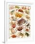 Crabs-English School-Framed Giclee Print