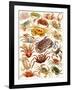 Crabs-English School-Framed Giclee Print