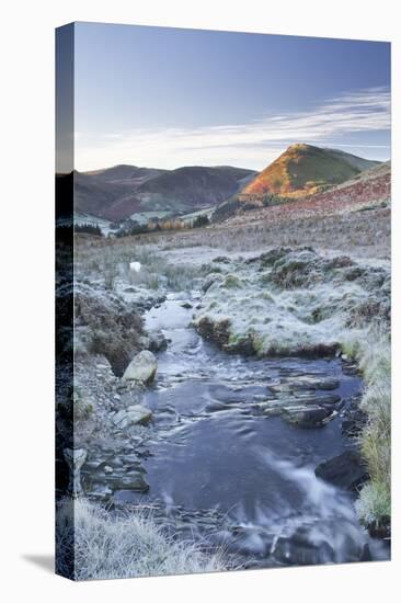 Crabtree Beck Running Down Loweswater Fell in the Lake District National Park-Julian Elliott-Stretched Canvas