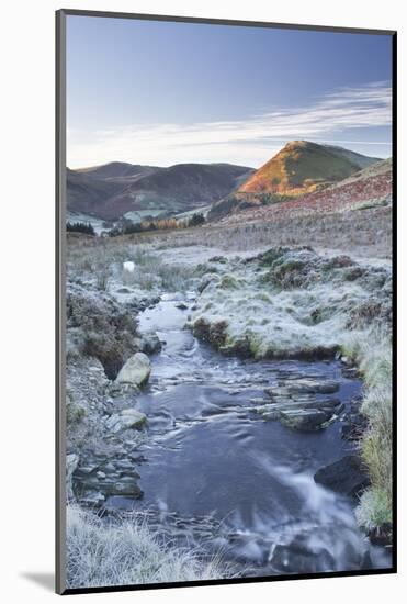 Crabtree Beck Running Down Loweswater Fell in the Lake District National Park-Julian Elliott-Mounted Photographic Print