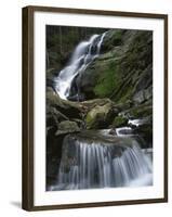 Crabtree Falls, Nelson Co, Virginia, USA-Charles Gurche-Framed Premium Photographic Print