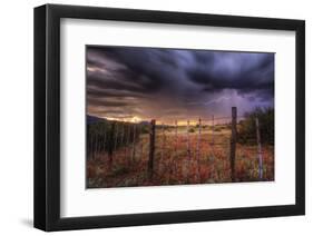 Crack-Bob Larson-Framed Art Print