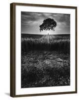 Cracked Earth-Martin Henson-Framed Photographic Print