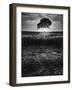 Cracked Earth-Martin Henson-Framed Photographic Print
