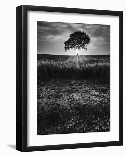 Cracked Earth-Martin Henson-Framed Photographic Print