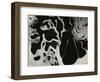 Cracked Glass, California, 1954-Brett Weston-Framed Photographic Print