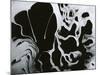 Cracked Glass, California, 1954-Brett Weston-Mounted Photographic Print