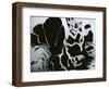 Cracked Glass, California, 1954-Brett Weston-Framed Photographic Print