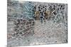 Cracked Glass-alexkar08-Mounted Photographic Print