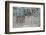 Cracked Glass-alexkar08-Framed Photographic Print