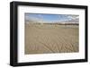 Cracked Ground, Bisti Wilderness, New Mexico, United States of America, North America-James Hager-Framed Photographic Print