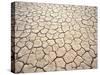 Cracked Mud, Fish River Canyon National Park, Namibia-Paul Souders-Stretched Canvas
