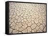 Cracked Mud, Fish River Canyon National Park, Namibia-Paul Souders-Framed Stretched Canvas