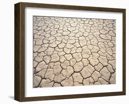 Cracked Mud, Fish River Canyon National Park, Namibia-Paul Souders-Framed Photographic Print