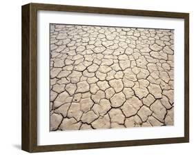 Cracked Mud, Fish River Canyon National Park, Namibia-Paul Souders-Framed Photographic Print