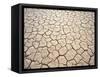 Cracked Mud, Fish River Canyon National Park, Namibia-Paul Souders-Framed Stretched Canvas