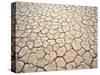 Cracked Mud, Fish River Canyon National Park, Namibia-Paul Souders-Stretched Canvas