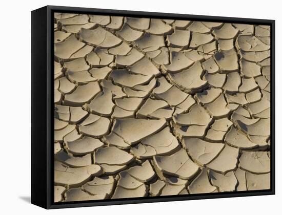 Cracked Mud Formation in the Valley Floor of Death Valley National Park, California, USA-Darrell Gulin-Framed Stretched Canvas