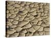 Cracked Mud Formation in the Valley Floor of Death Valley National Park, California, USA-Darrell Gulin-Stretched Canvas