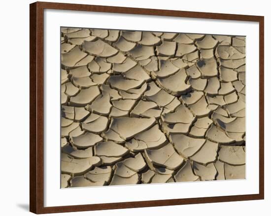 Cracked Mud Formation in the Valley Floor of Death Valley National Park, California, USA-Darrell Gulin-Framed Photographic Print