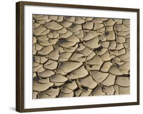 Cracked Mud Formation in the Valley Floor of Death Valley National Park, California, USA-Darrell Gulin-Framed Photographic Print