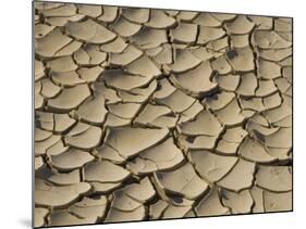 Cracked Mud Formation in the Valley Floor of Death Valley National Park, California, USA-Darrell Gulin-Mounted Photographic Print