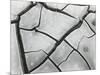 Cracked Mud, High Sierra, California, 1960-Brett Weston-Mounted Photographic Print