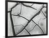 Cracked Mud, High Sierra, California, 1960-Brett Weston-Framed Photographic Print