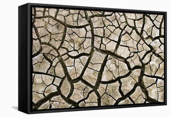 Cracked Mud in Dry River Bed During Summer. Surrey, UK-Alex Hyde-Framed Stretched Canvas