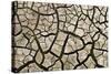 Cracked Mud in Dry River Bed During Summer. Surrey, UK-Alex Hyde-Stretched Canvas